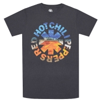 RED HOT CHILI PEPPERS Paint Ｔシャツ